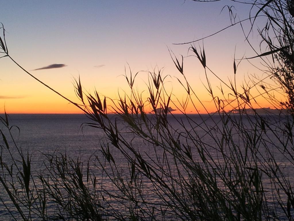 Agriturismo Gocce Di Luna Celle Ligure Szoba fotó