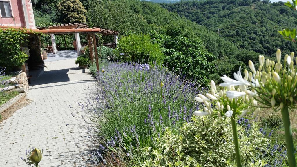 Agriturismo Gocce Di Luna Celle Ligure Kültér fotó