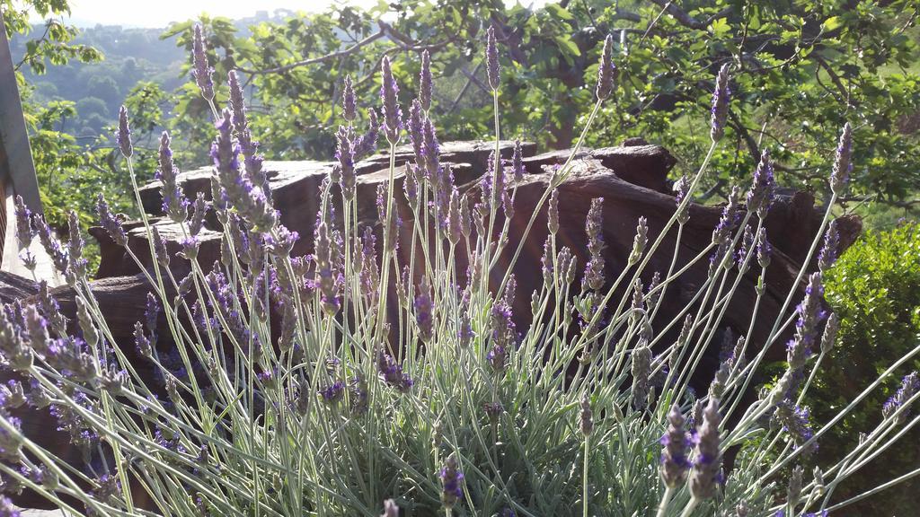 Agriturismo Gocce Di Luna Celle Ligure Kültér fotó