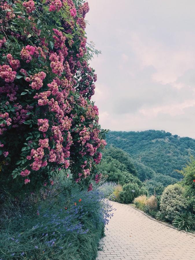 Agriturismo Gocce Di Luna Celle Ligure Kültér fotó